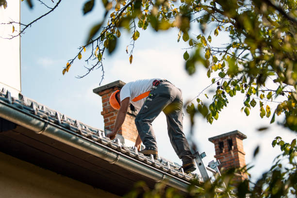 Best Roof Leak Repair  in Nikiski, AK