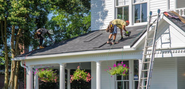 Best Roof Gutter Cleaning  in Nikiski, AK