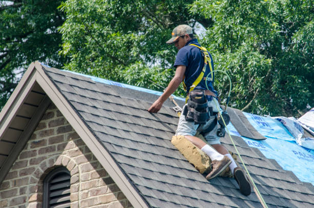 Best Shingle Roofing Installation  in Nikiski, AK
